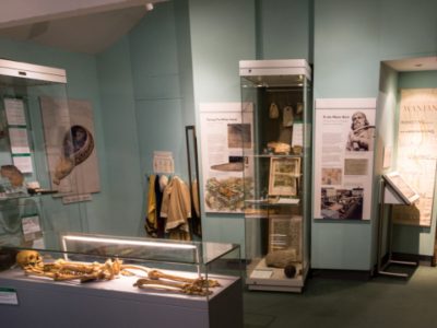 Vale and Downland Museum