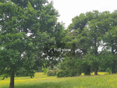 Harcourt Arboretum