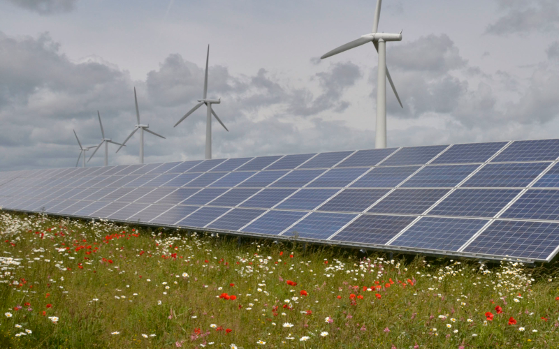 Westmill Wind Farm and Solar Park Guided Tour