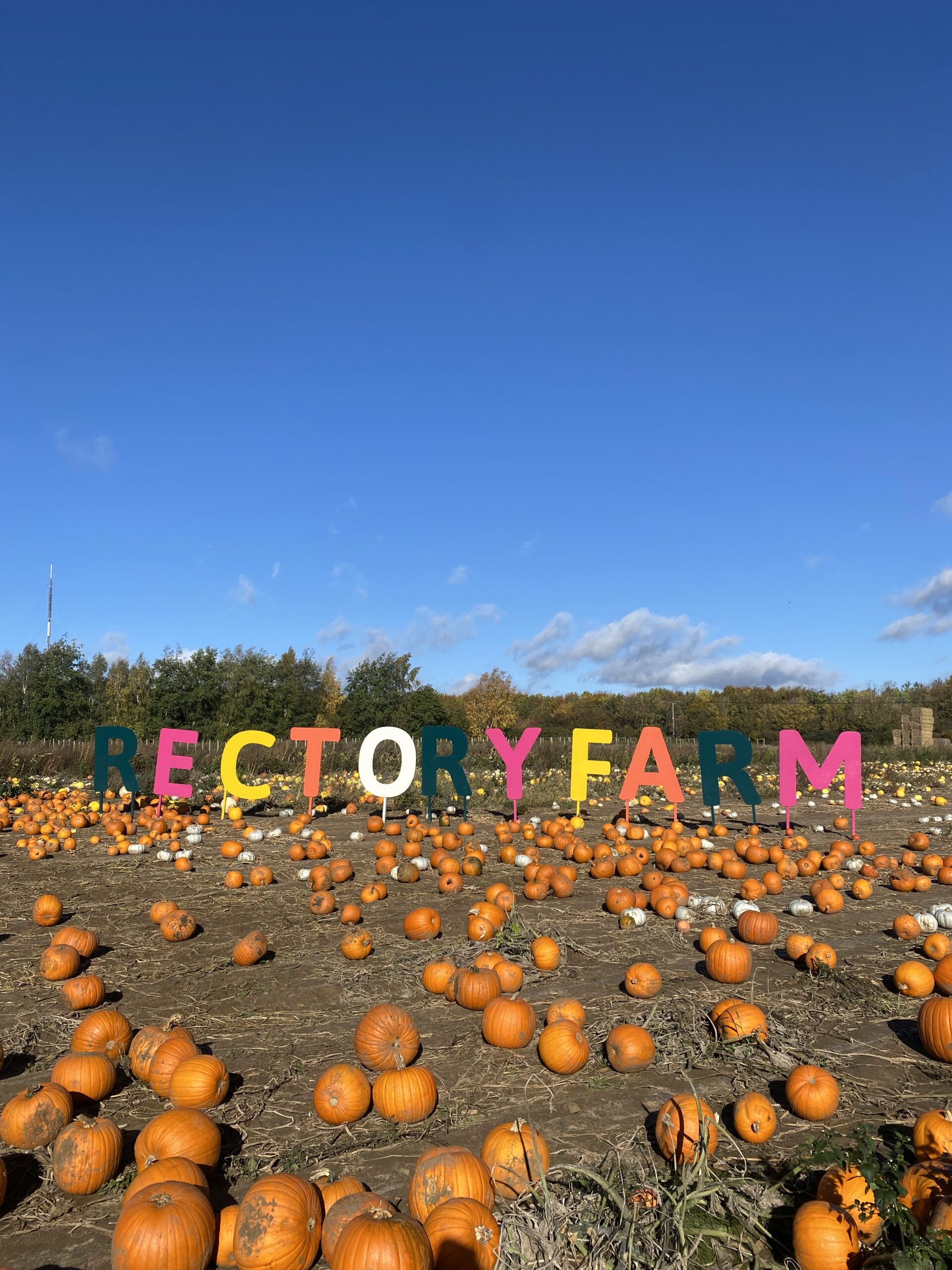 The Rectory Farm Pumpkin Patch