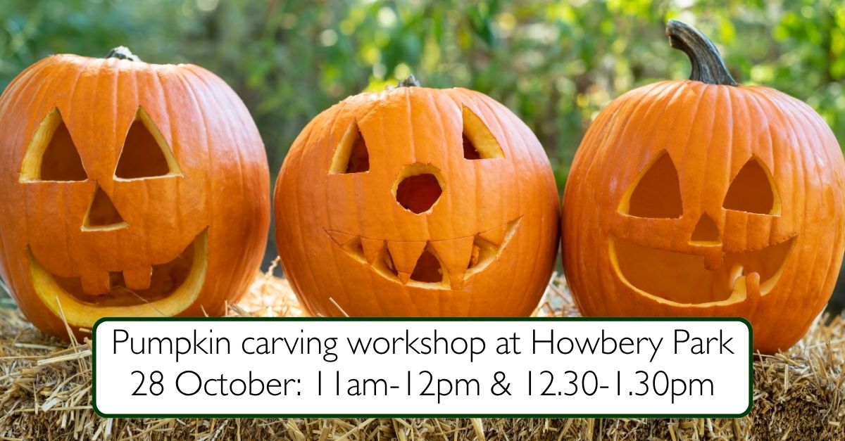 Pumpkin carving workshop